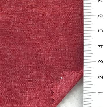 21 Red