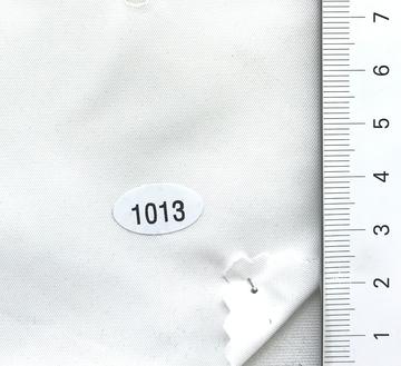 1013 Ivory