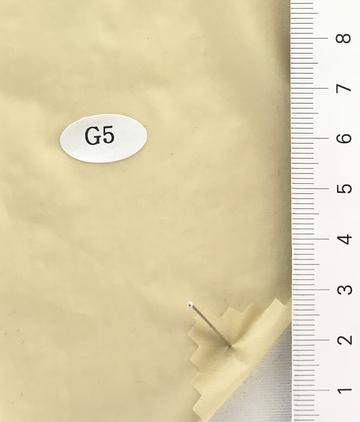 G5 Beige