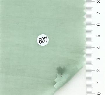 607 Pale Green