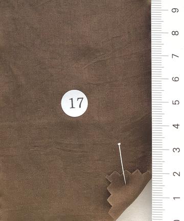 17 Camel