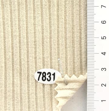 7831 Ivory