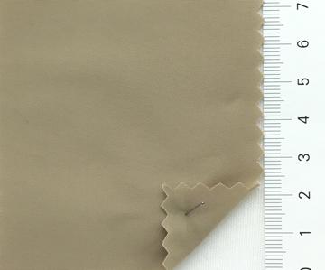 26 Camel
