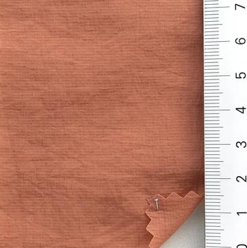 21 Pale Orange