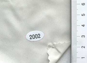 2002 Beige