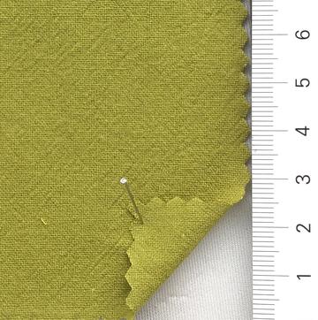 99999 Pale Green