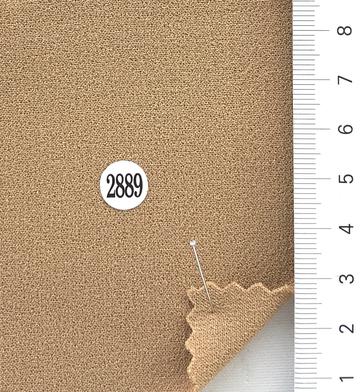 2889 Camel