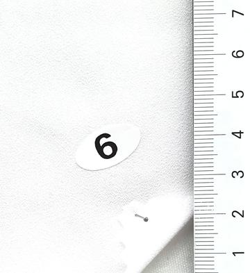 구6 White