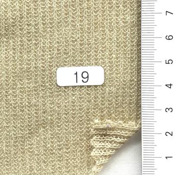 19 Camel