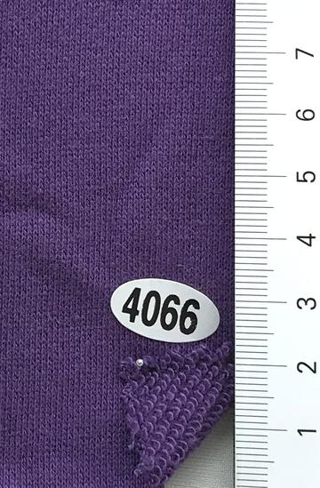 4066 Purple