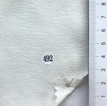 492 Ivory