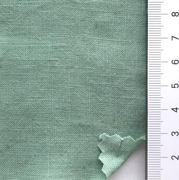 99999 Pale Green