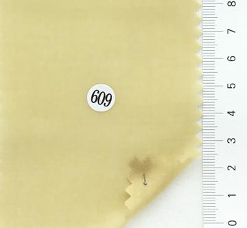 609 Beige