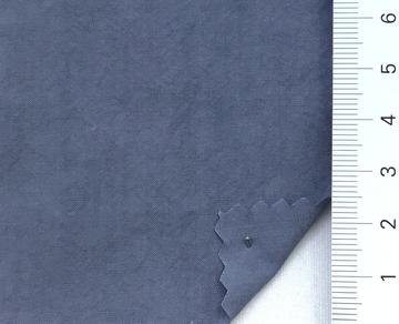 99999 Pale Blue