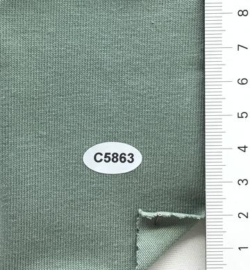 C5863 Pale Green
