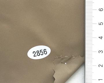 2856 Brown
