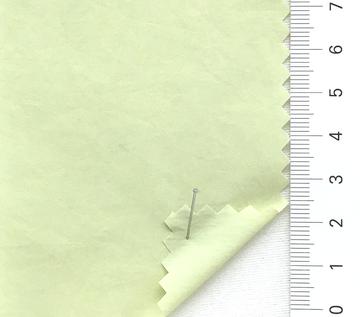 23 Pale Green