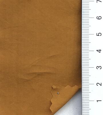 33 Camel