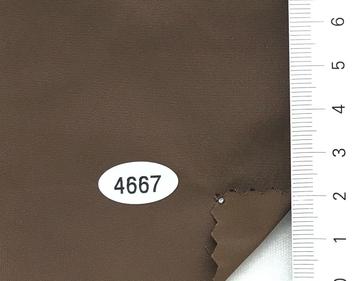 4667 Brown