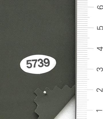 5739 Deep Green