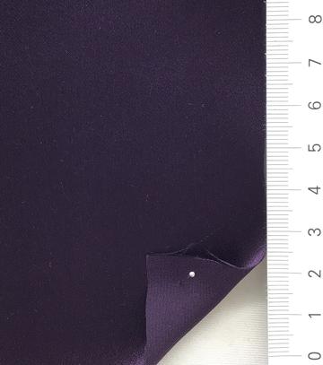 CONCORD GRAPE Purple