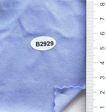 B2929 Pale Blue