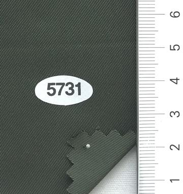 5731 Deep Green