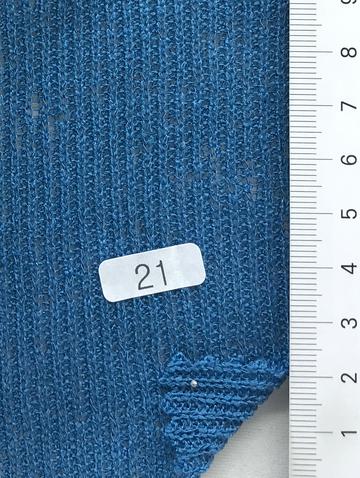 21 Blue