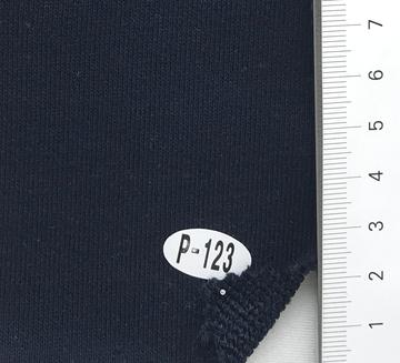 P-123 Navy