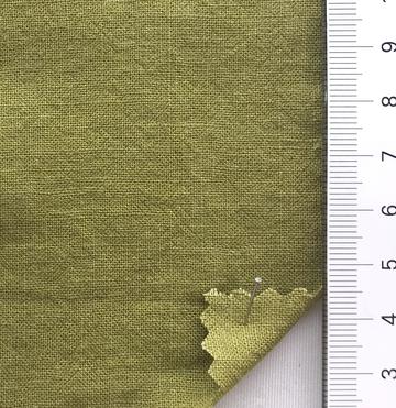 99999 Pale Green
