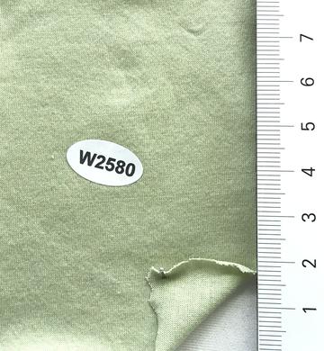 W2580 Pale Green