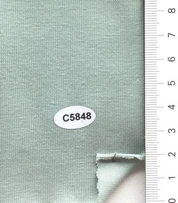C5848 Pale Green