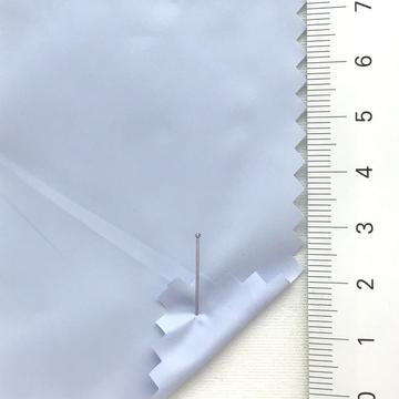 21 Pale Blue