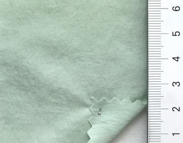 99999 Pale Green