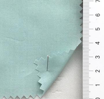 17 Pale Green