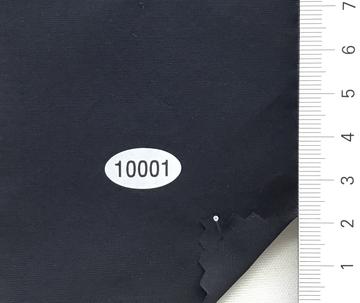 10001 Black