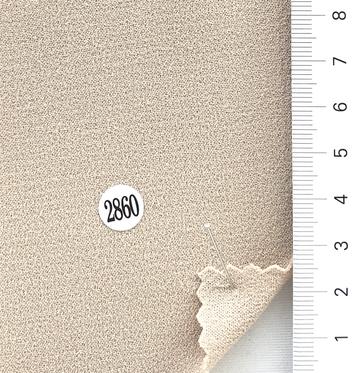 2860 Beige