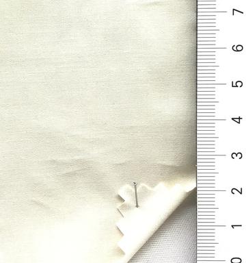 99999 Ivory