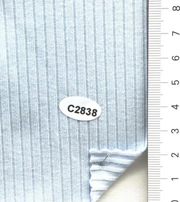 C2838 Pale Blue