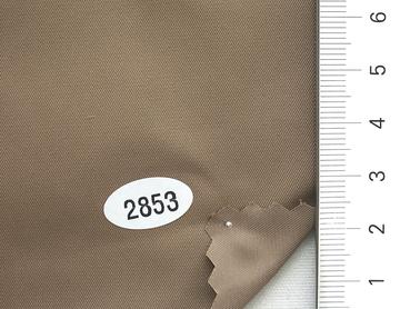 2853 Brown