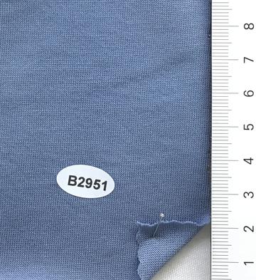 B2951 Blue