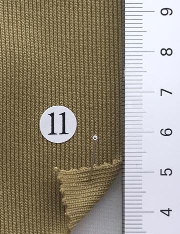 11 Camel