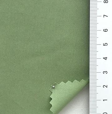 22 Pale Green