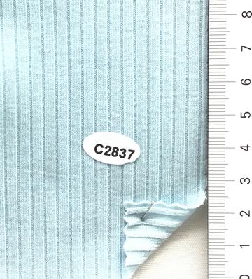 C2837 Pale Blue