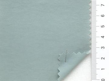 99999 Pale Green
