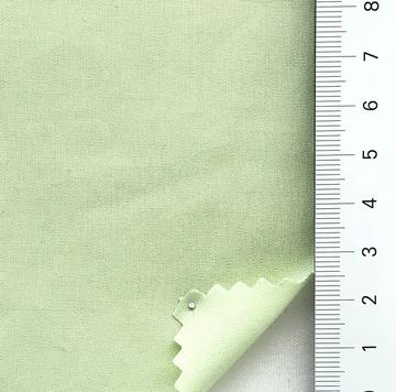 21 Pale Green