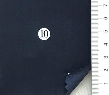 10 Navy
