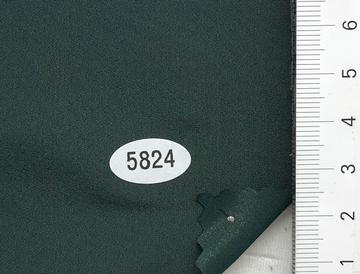 5824 Deep Green