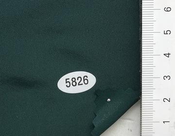 5826 Deep Green