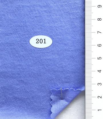 201 Pale Blue